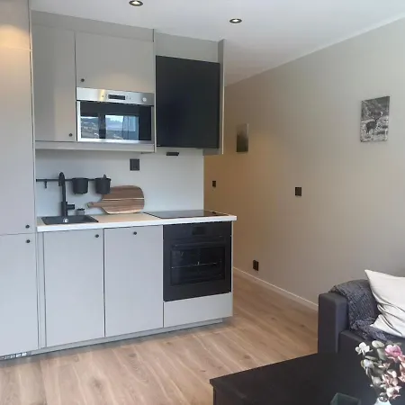 Apartmán Affordable Luxury - Vibe - Heart Of Voss