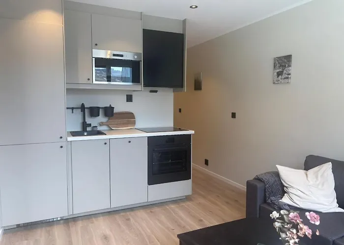 Apartment Affordable Luxury - Vibe - Heart Of Voss